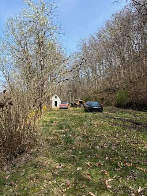 00 Robinson Hollow Road, Martin, KY 41649 - #1