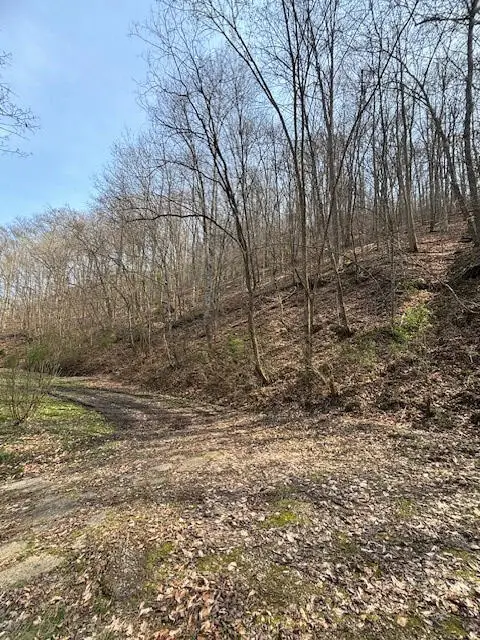00 Robinson Hollow Road, Martin, KY 41649 - #3