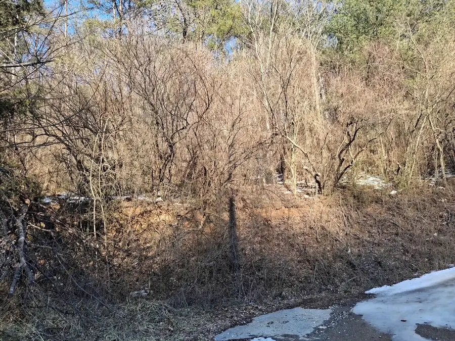 00  Salyers Hill (db 494 Pg 28), Staffordsville, KY 41256 - #3