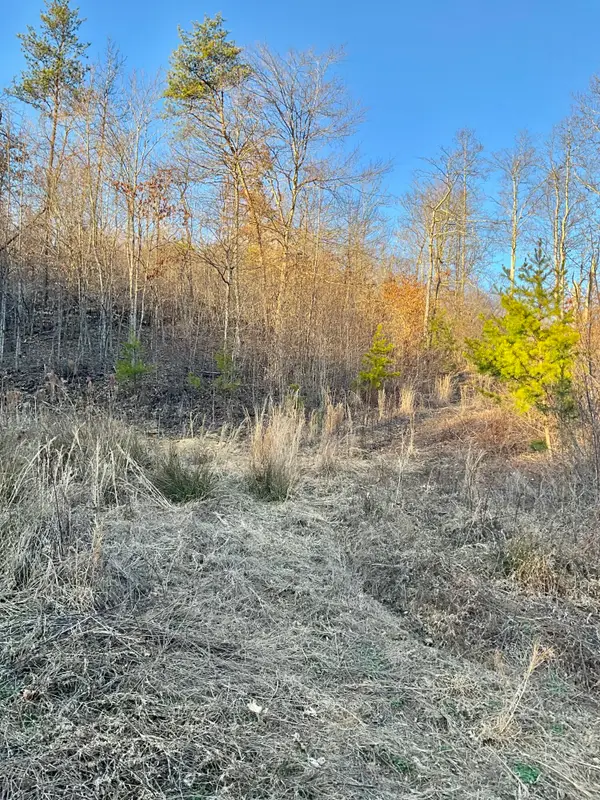 0 Bull Hollow Road, Manchester, KY 40962