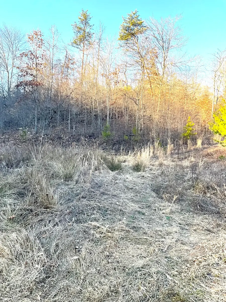 0 Bull Hollow Road, Manchester, KY 40962 - #2