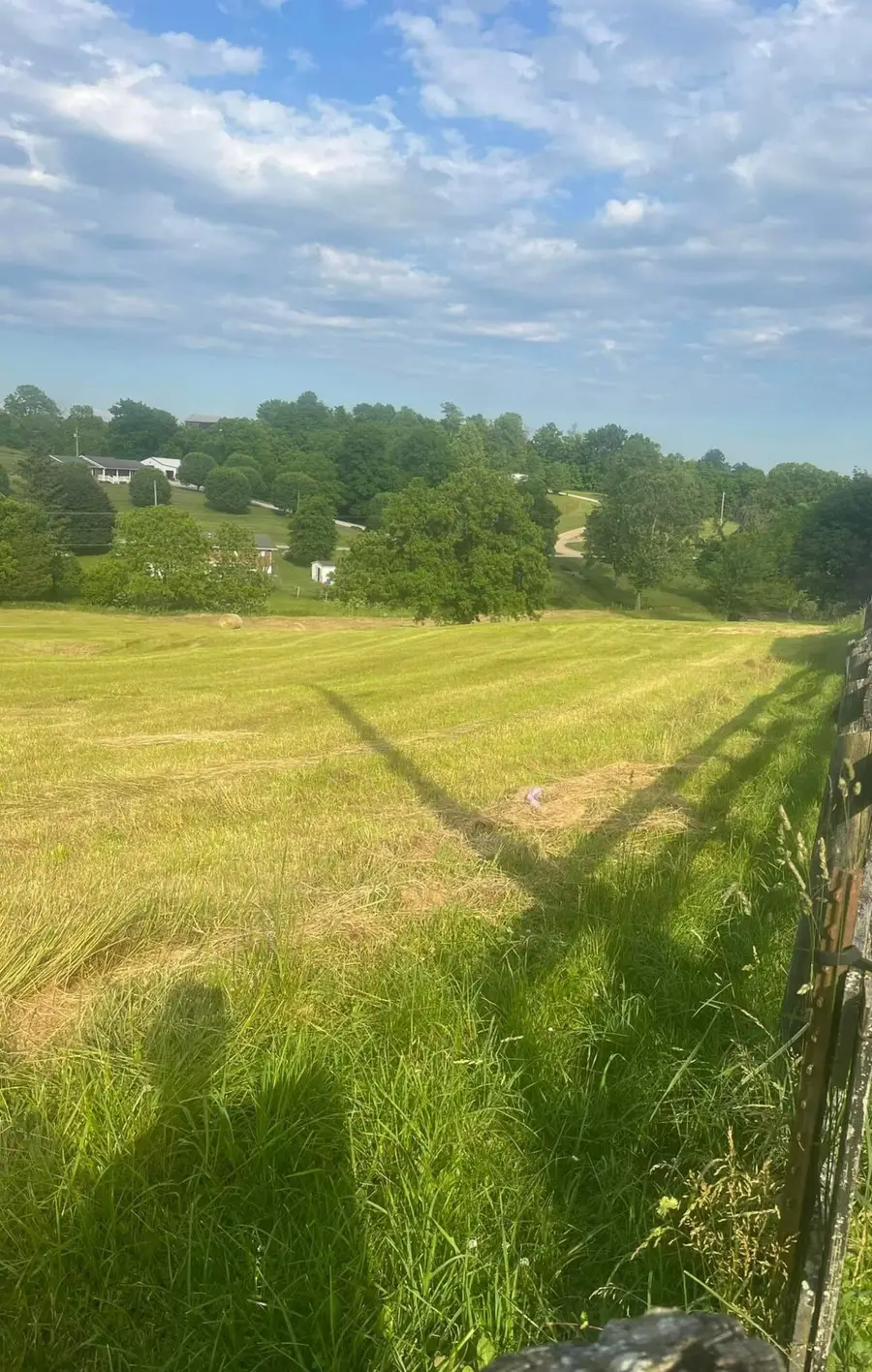 8377 Stonelick Road, Maysville, KY 41056 - #2