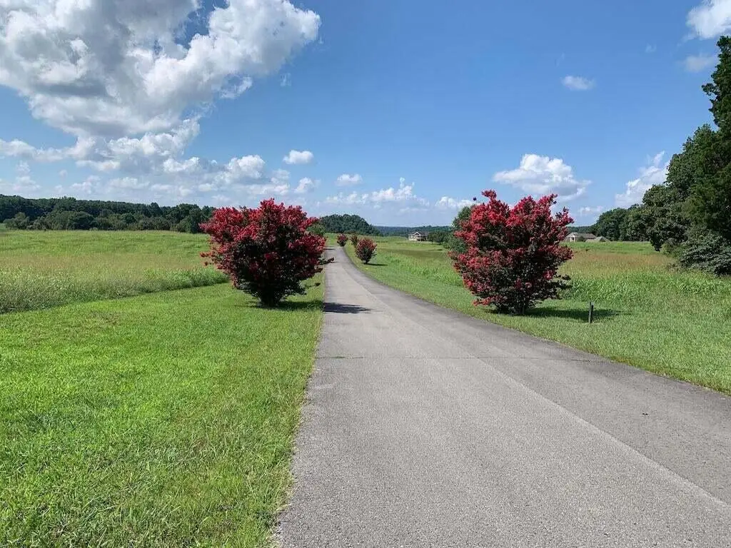 40 41 Beacon Street, Russell Springs, KY 42642 - #1