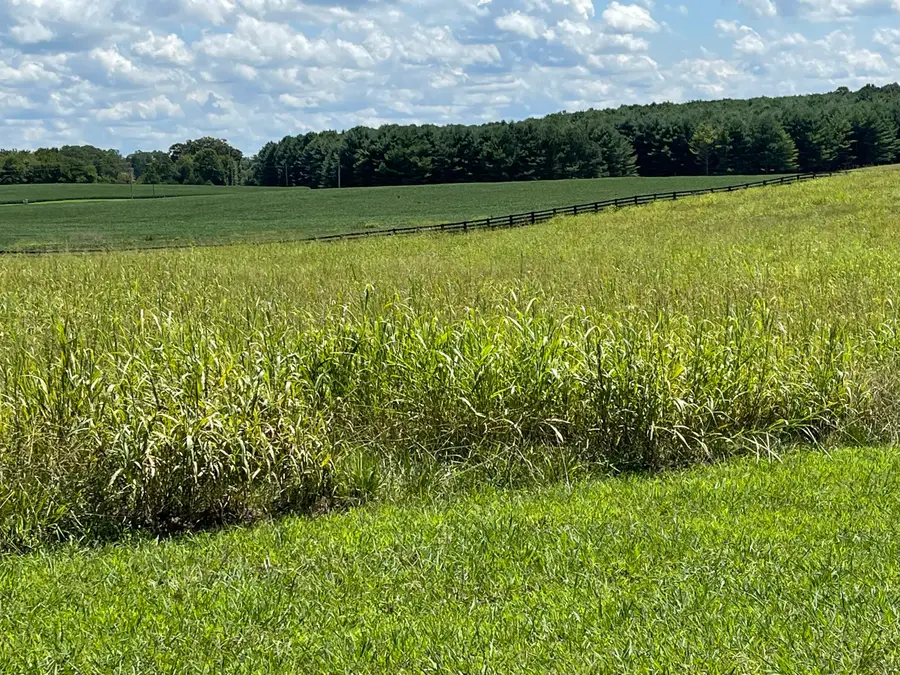 40 41 Beacon Street, Russell Springs, KY 42642 - #3