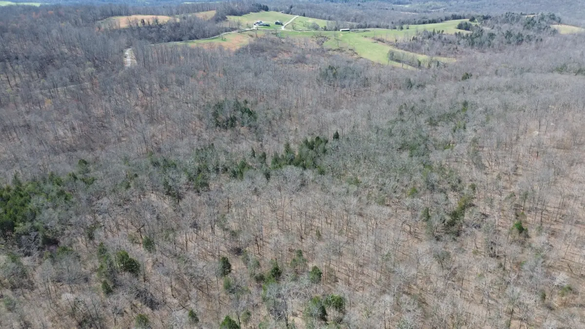 92A  Riverside Benleo Road, Bowling Green, KY 42101 - #1