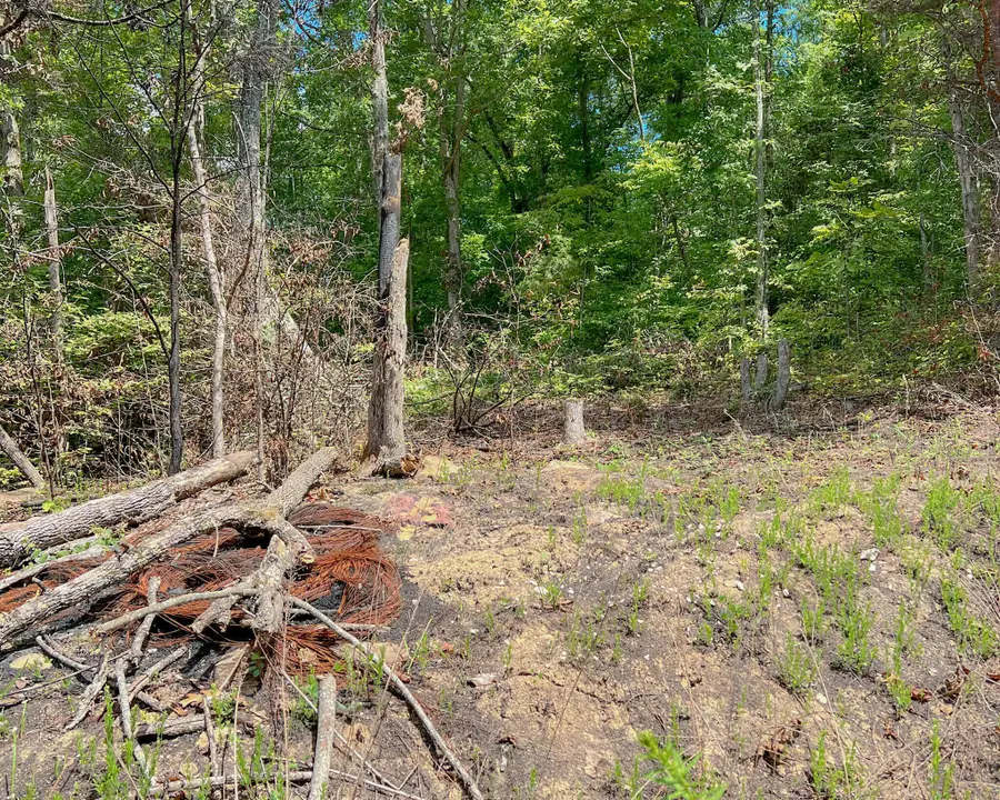 Lot 6 Block E Unit 3  Parrott Drive, Somerset, KY 42501 - #2