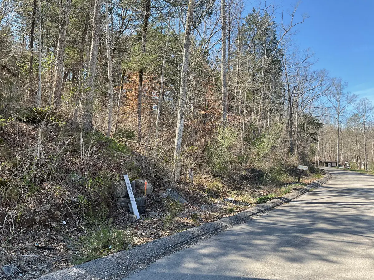 04 Caney Branch Spur Road #04, Burnside, KY 41519 - #1