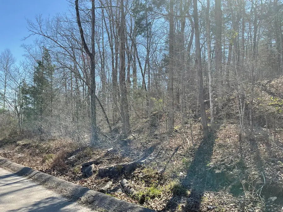 04 Caney Branch Spur Road #04, Burnside, KY 41519 - #2