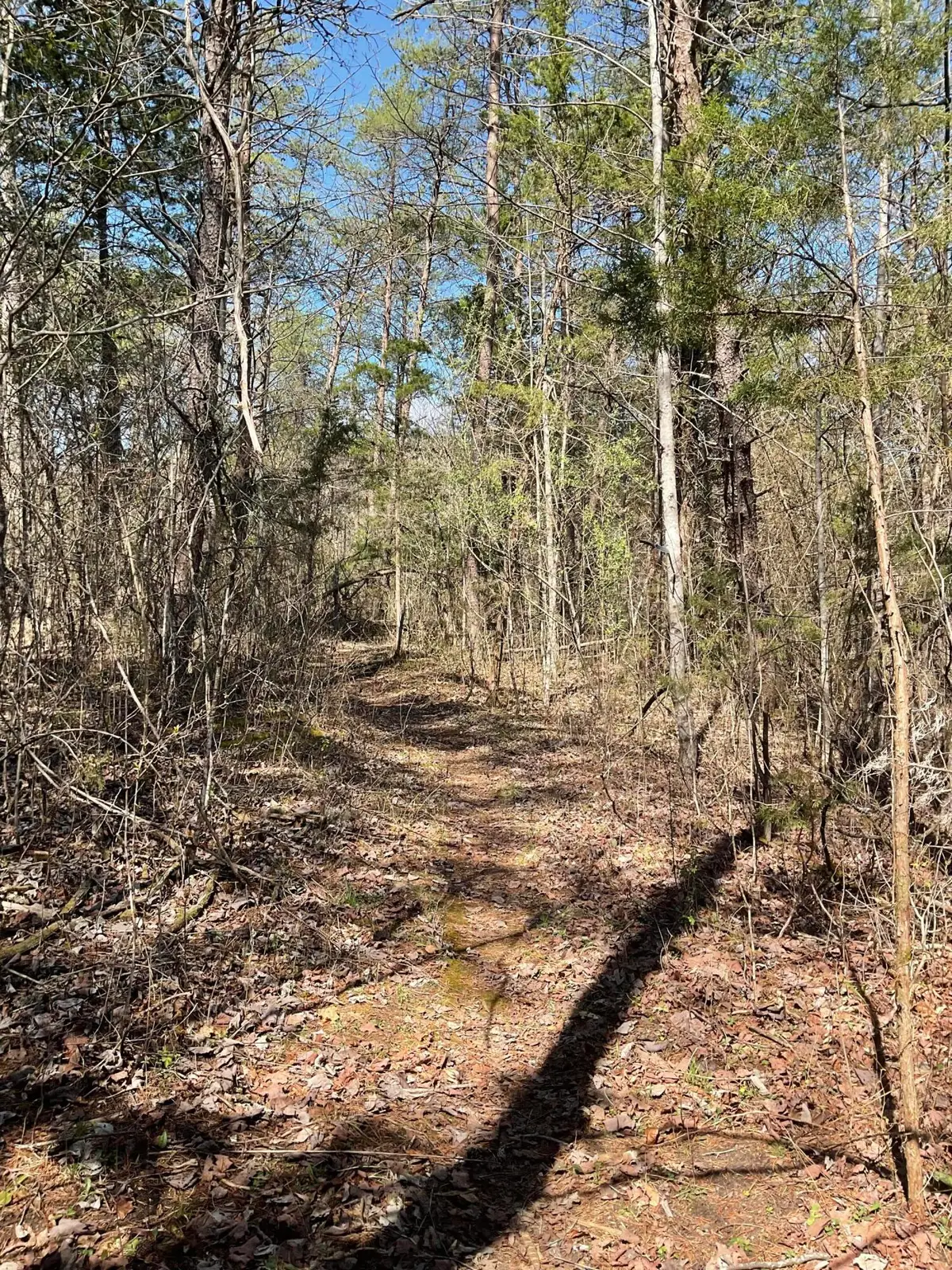 53 Caney Branch Spur Road, Burnside, KY 42519 - #1