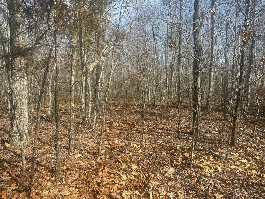 10 ac Old Beaty Pvt Road, Strunk, KY 42649 - #2