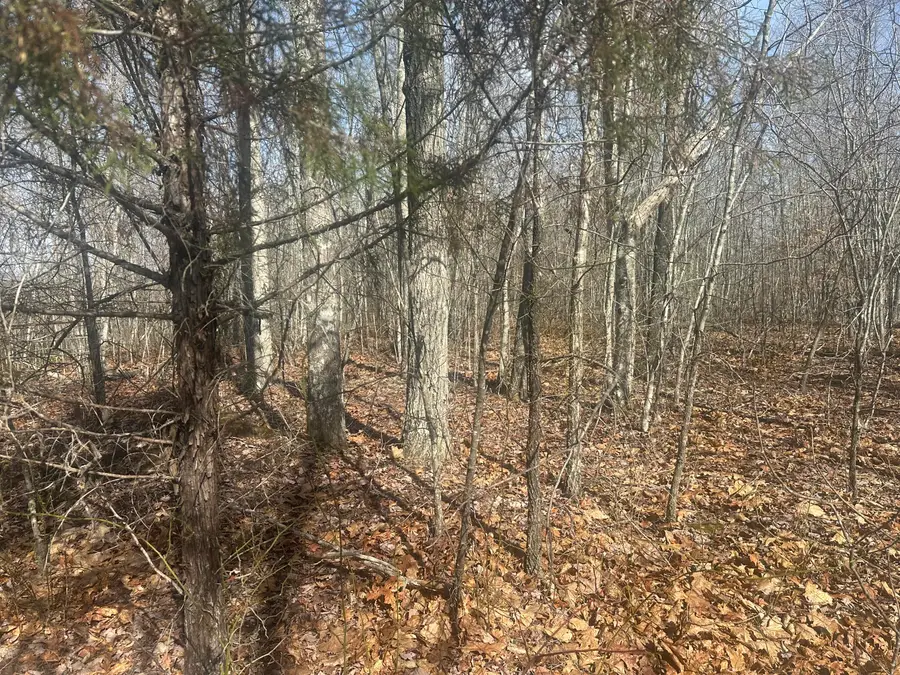 10 ac Old Beaty Pvt Road, Strunk, KY 42649 - #3