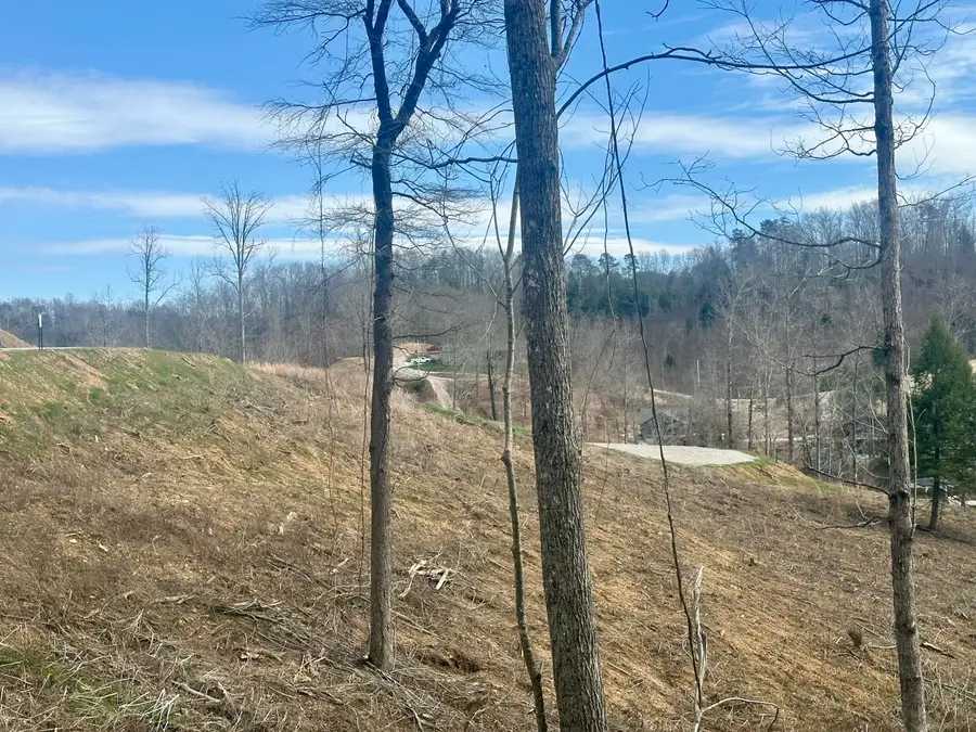 Lot 20 Sleepy Hollow Road #Lot 20, East Bernstadt, KY 40729 - #3