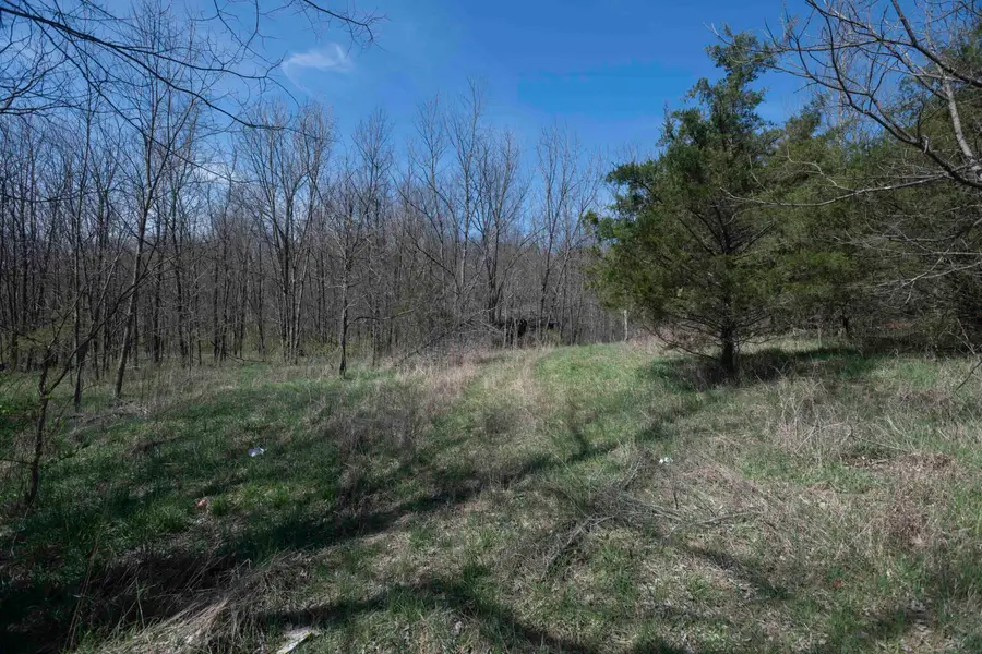0 Davis Turkey Foot Road, Sadieville, KY 40370 - #2