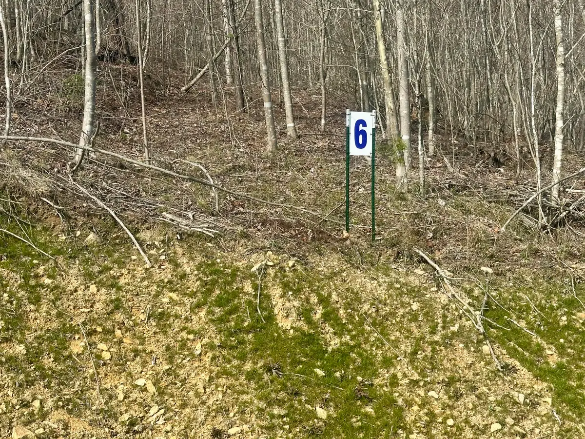 Lot 6 Sleepy Hollow Road #Lot 6, East Bernstadt, KY 40729 - #1