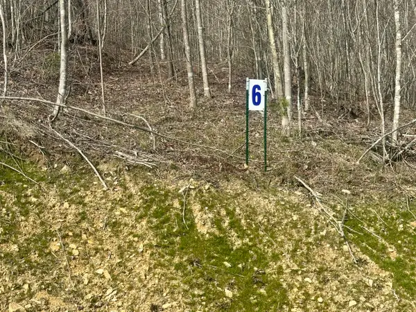 Lot 6 Sleepy Hollow Road #Lot 6, East Bernstadt, KY 40729