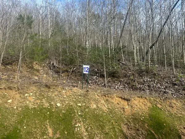 Lot 12 Sleepy Hollow Road #Lot 12, East Bernstadt, KY 40729