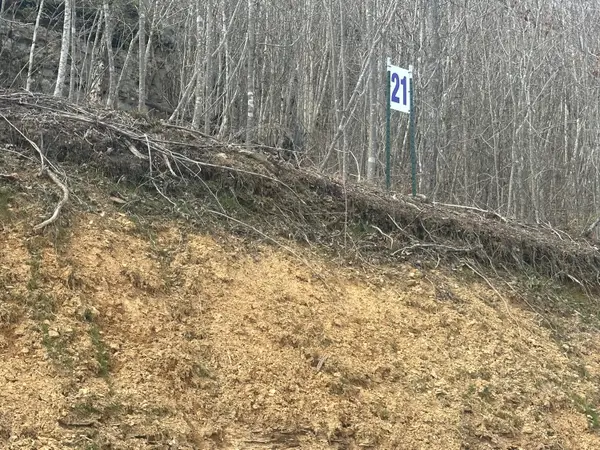 Lot 21 Sleepy Hollow Road #Lot 21, East Bernstadt, KY 40729