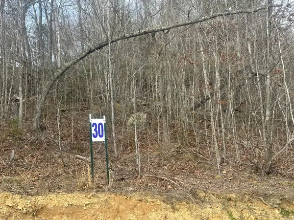 Lot 30 Sleepy Hollow Road #Lot 30, East Bernstadt, KY 40729