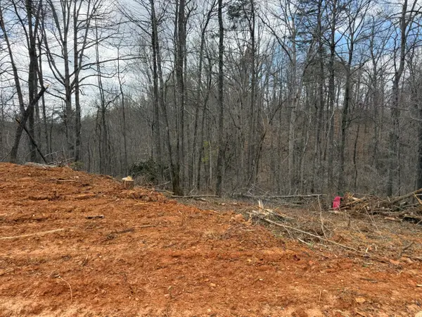 Lot 1 Phase 2  Stearns Hollow Road, Monticello, KY 42633