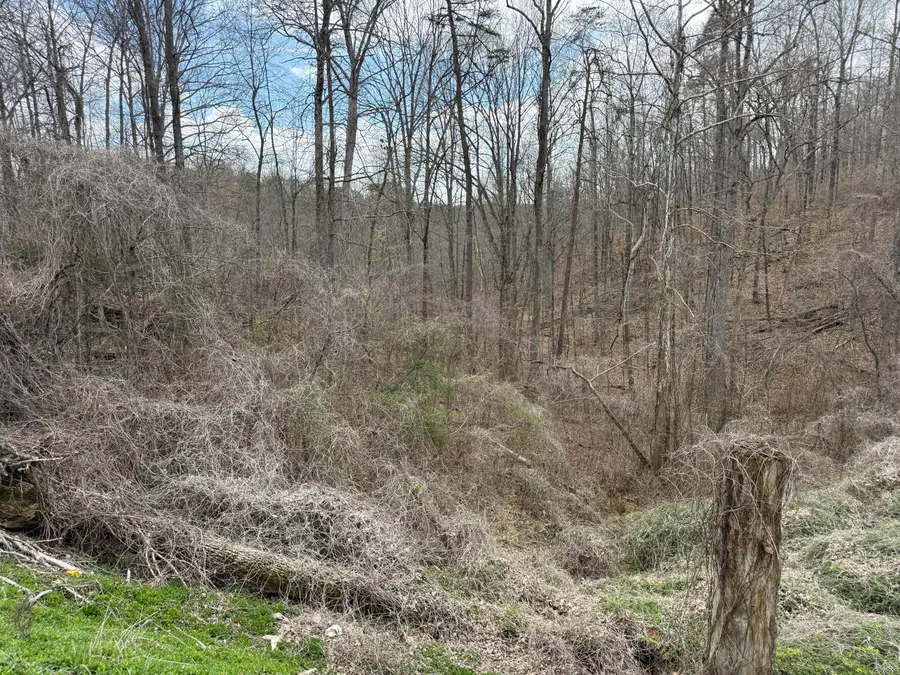 Lot 1 Phase 2  Stearns Hollow Road, Monticello, KY 42633 - #2