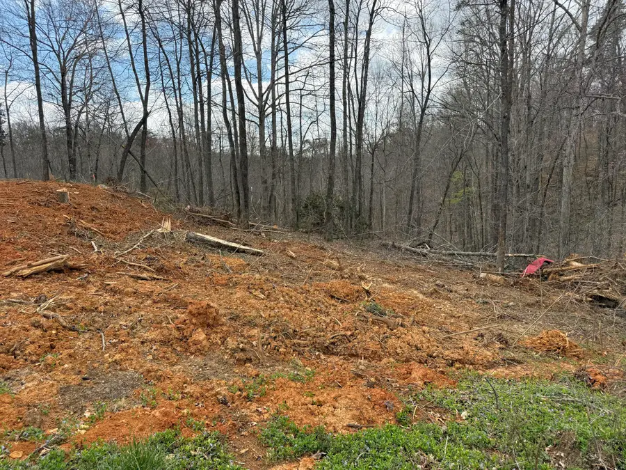 Lot 1 Phase 2  Stearns Hollow Road, Monticello, KY 42633 - #3