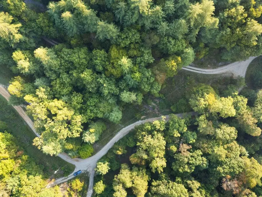 9999 Deer Track Road, Beattyville, KY 41311 - #2