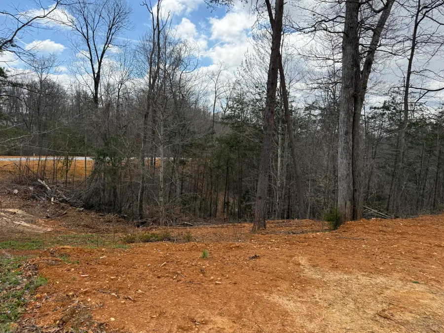 Lot 4 Phase 2 Stearns Hollow Road, Monticello, KY 42633 - #2