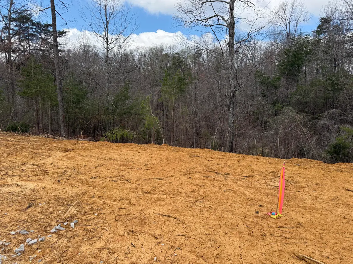 Lot 6 Phase 2 Stearns Hollow Road, Monticello, KY 42633 - #1