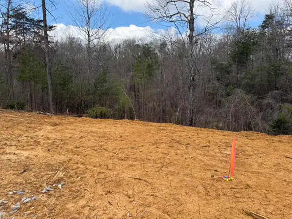 Lot 6 Phase 2 Stearns Hollow Road, Monticello, KY 42633