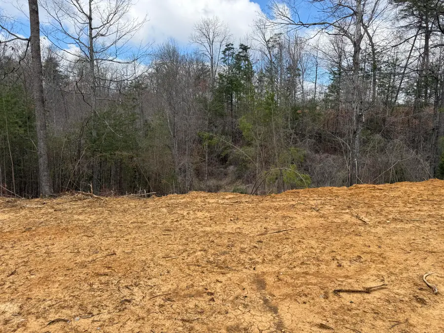 Lot 6 Phase 2 Stearns Hollow Road, Monticello, KY 42633 - #2