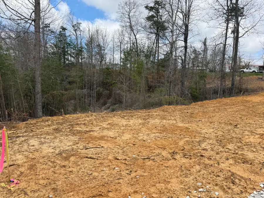 Lot 6 Phase 2 Stearns Hollow Road, Monticello, KY 42633 - #3