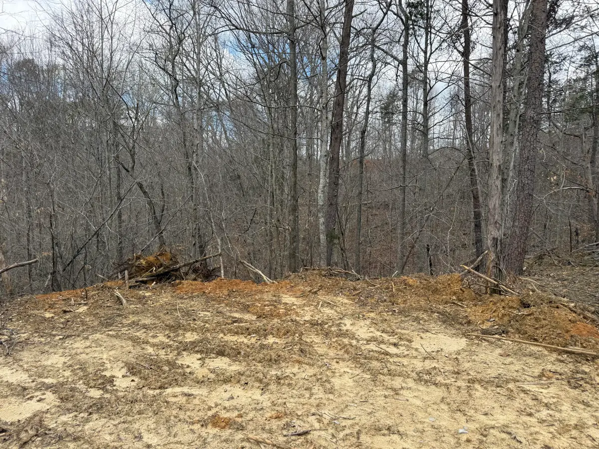 Lot 8 Phase 2 Stearns Hollow Road, Monticello, KY 42633 - #1