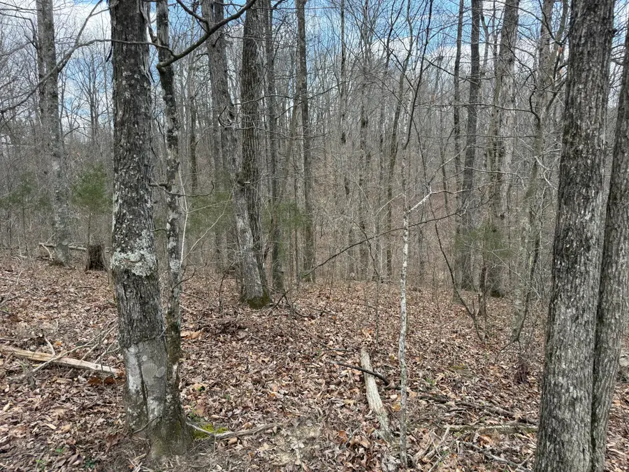 Lot 8 Phase 2 Stearns Hollow Road, Monticello, KY 42633 - #3