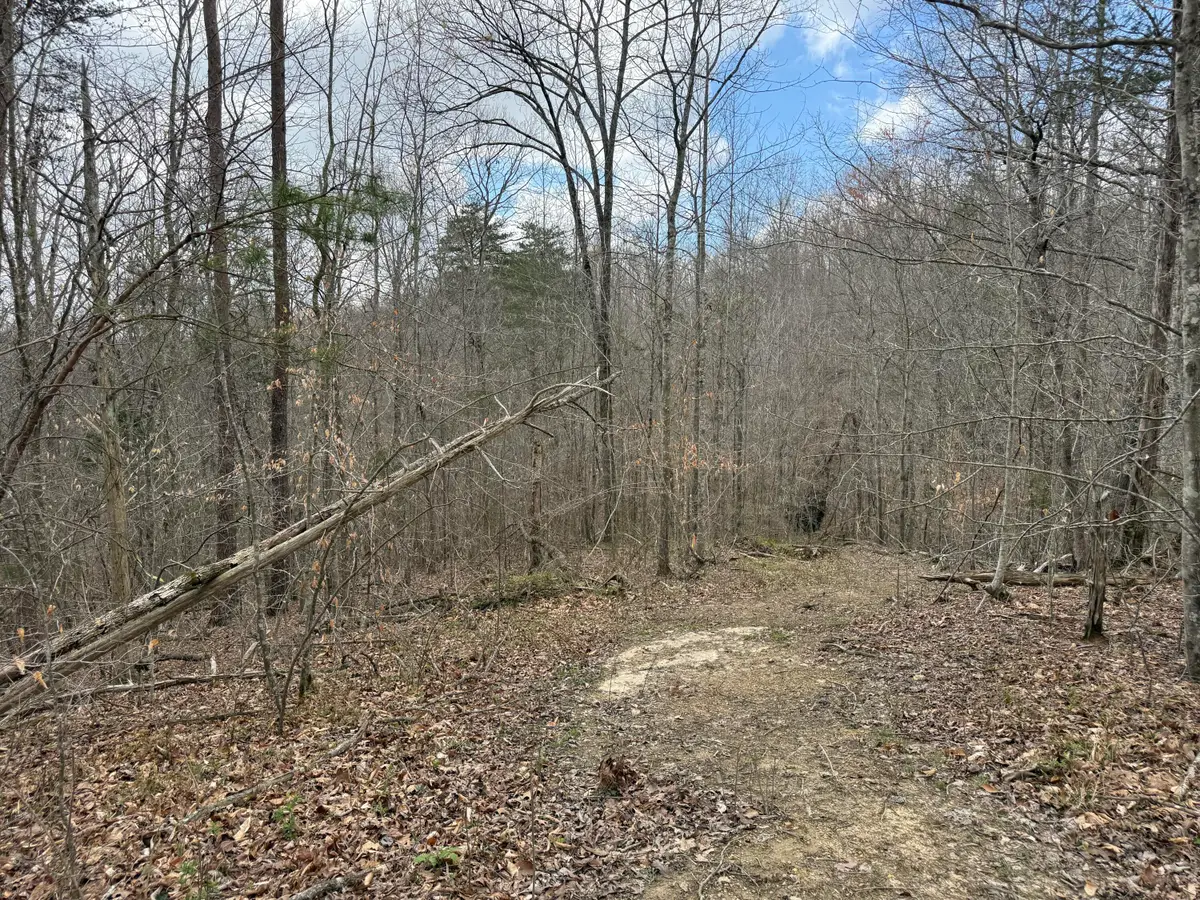 Lot 9 Phase 2 Stearns Hollow Road, Monticello, KY 42633 - #1