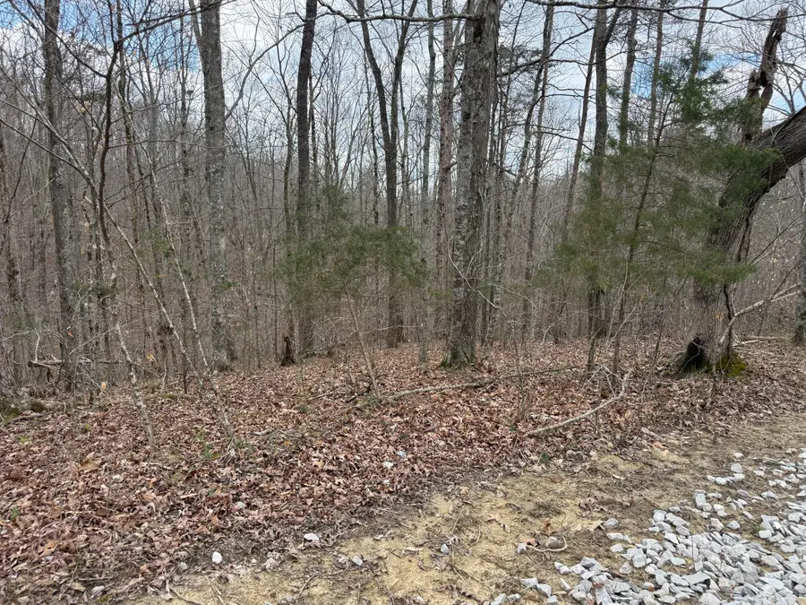 Lot 9 Phase 2 Stearns Hollow Road, Monticello, KY 42633 - #2