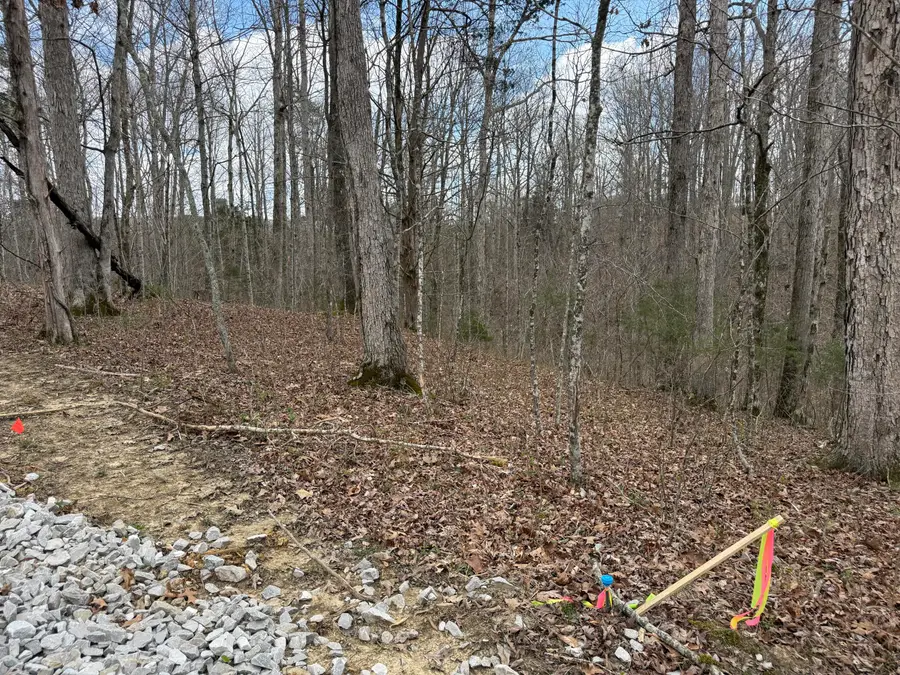 Lot 9 Phase 2 Stearns Hollow Road, Monticello, KY 42633 - #3