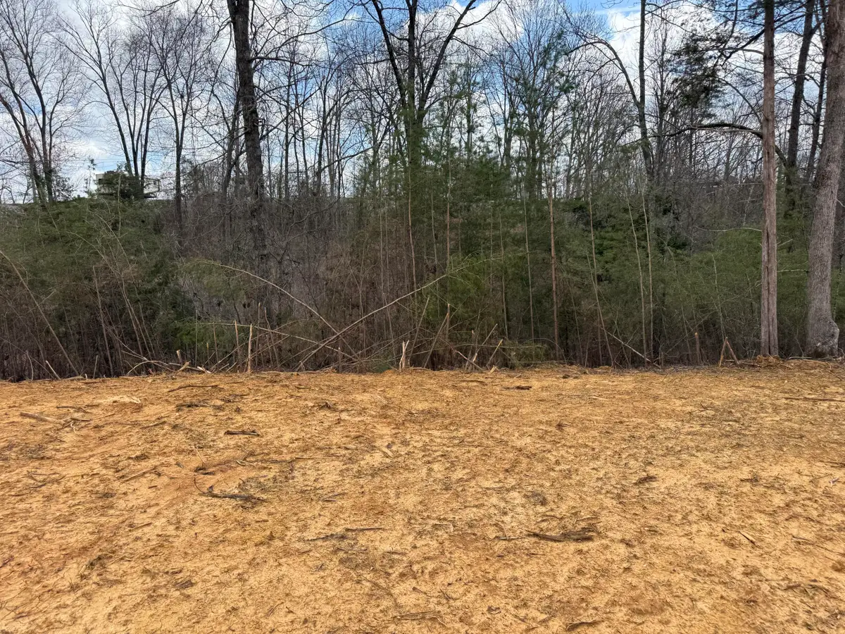 Lot 10 Phase 2 Stearns Hollow Road, Monticello, KY 42633 - #1