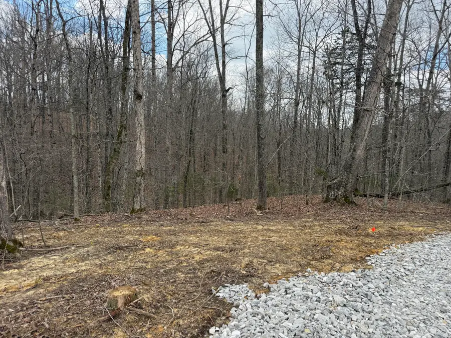 Lot 10 Phase 2 Stearns Hollow Road, Monticello, KY 42633 - #3