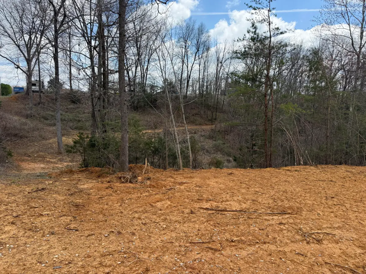 Lot 11 Phase 2 Stearns Hollow Road, Monticello, KY 42633 - #1