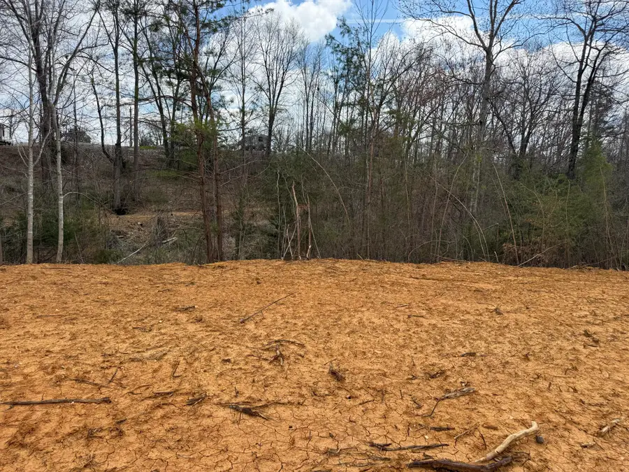 Lot 11 Phase 2 Stearns Hollow Road, Monticello, KY 42633 - #2
