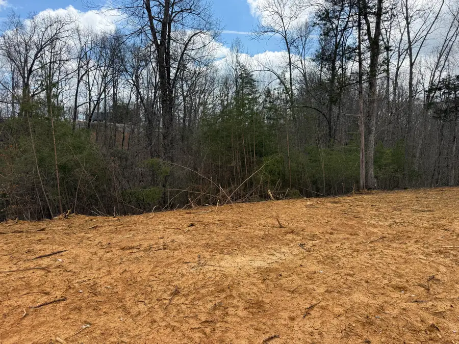 Lot 11 Phase 2 Stearns Hollow Road, Monticello, KY 42633 - #3