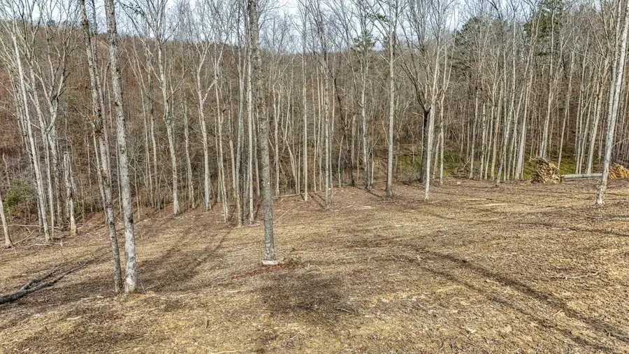 3689 Hazel Patch Road, East Bernstadt, KY 40729 - #3