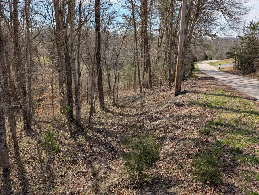 Lot 6 Woods Trail Drive #6, Irvine, KY 40336 - #3