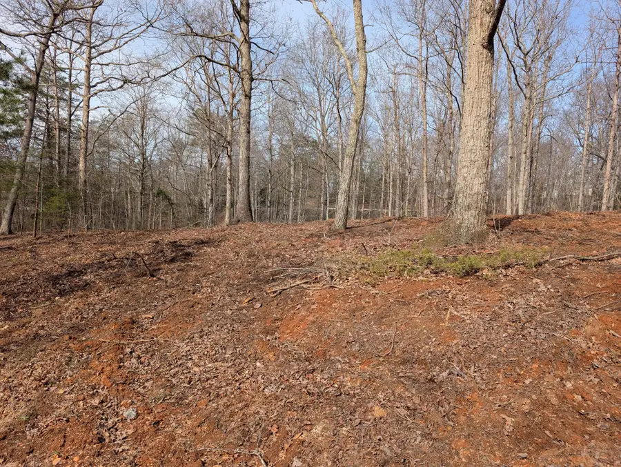 8 Woods Trail Drive #8, Irvine, KY 40336 - #3