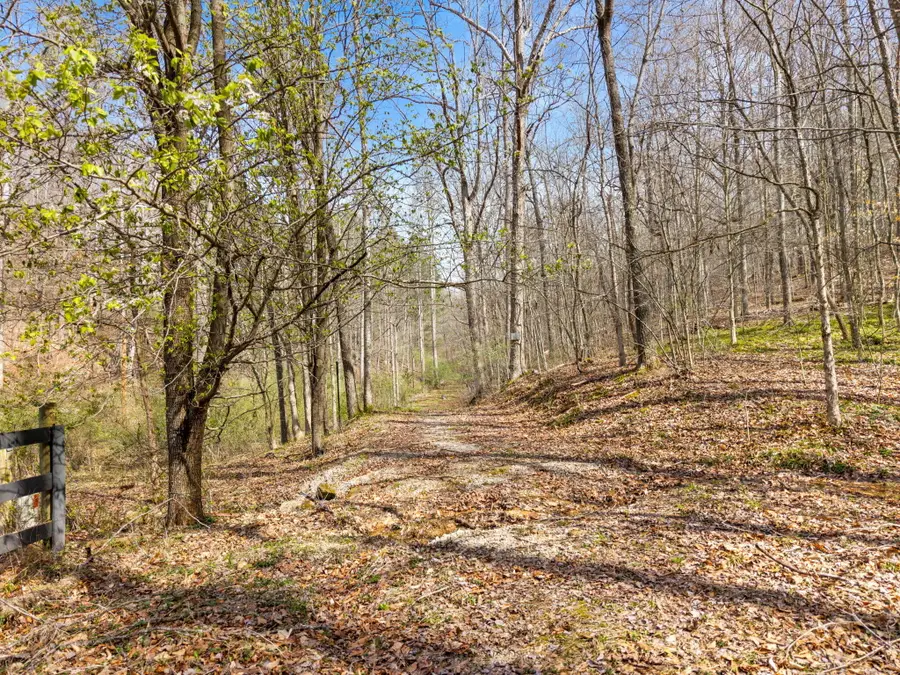 1230 Possom Trot Road Road, Manchester, KY 40962 - #2