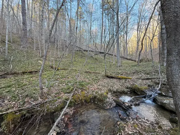 9991 Red Hill Road, Livingston, KY 40445