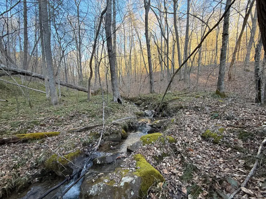 9991 Red Hill Road, Livingston, KY 40445 - #2