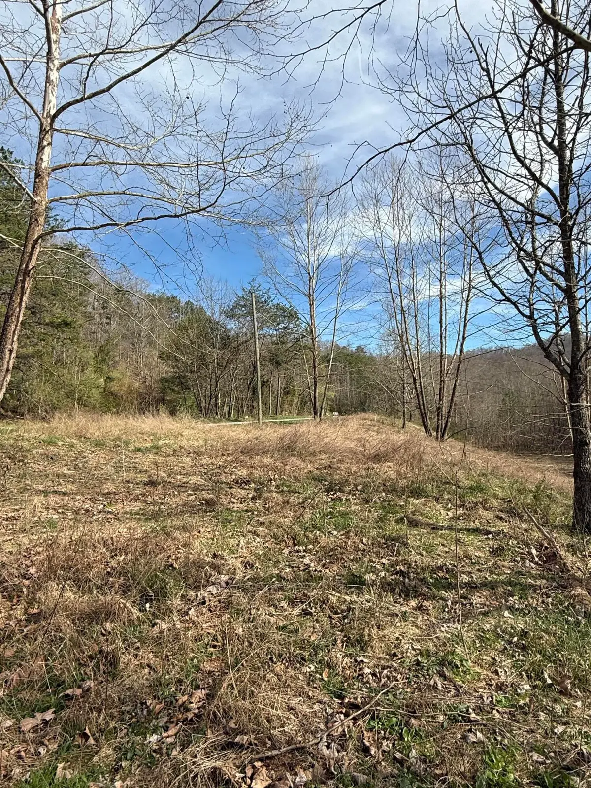 9999 Stone Cove Road, Gray, KY 40734 - #1