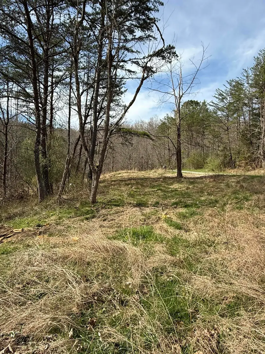 9999 Stone Cove Road, Gray, KY 40734 - #2