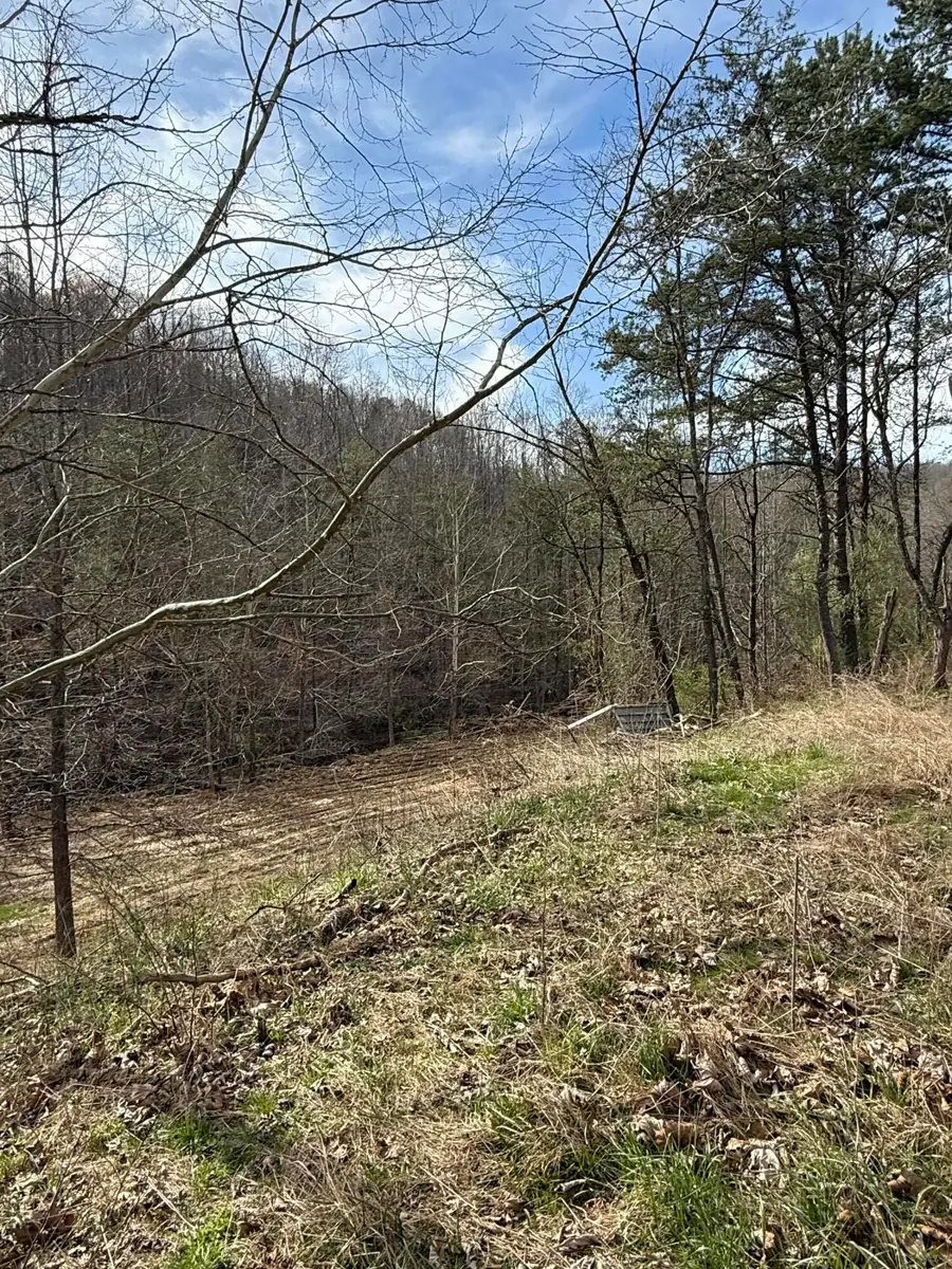 9999 Stone Cove Road, Gray, KY 40734 - #3